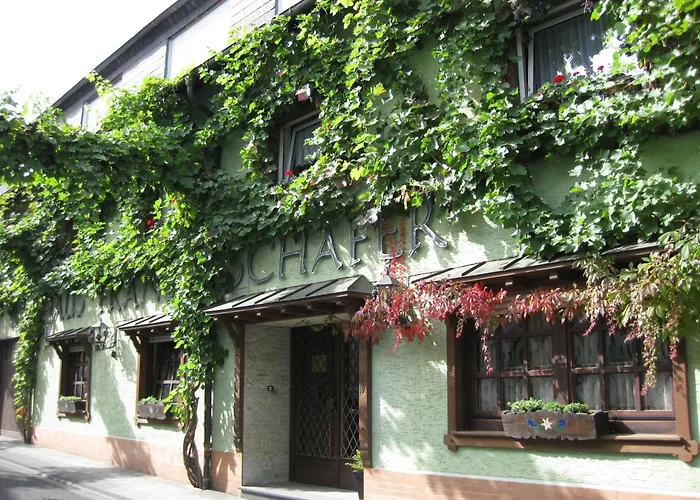 Gästehaus: Weingut Franz Schäfer