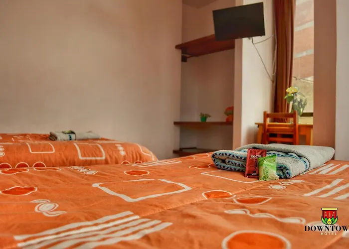 Albergue: Downtown Hotel