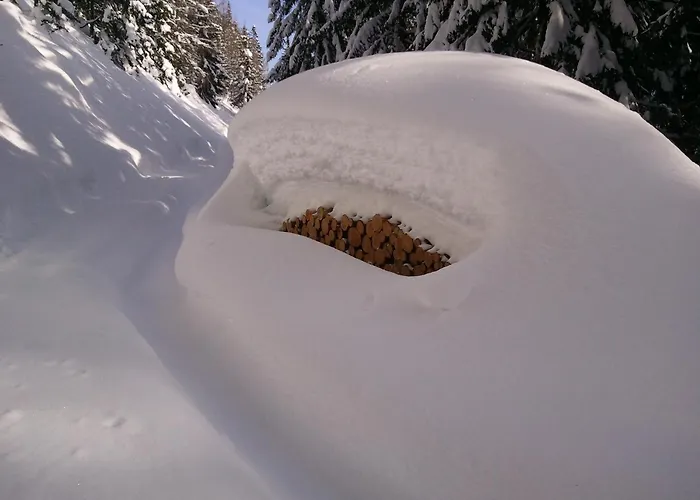 Günstiges Hotel: Seepension Knappenhof