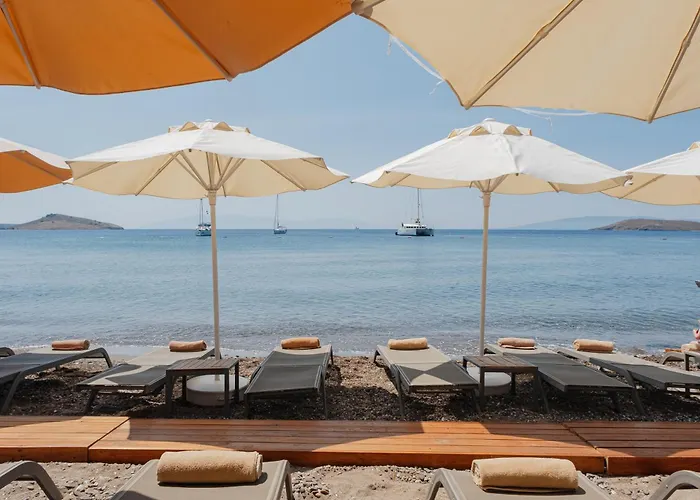 Khai Bodrum