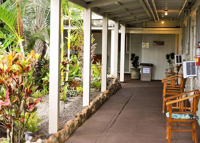 Kauai Palms