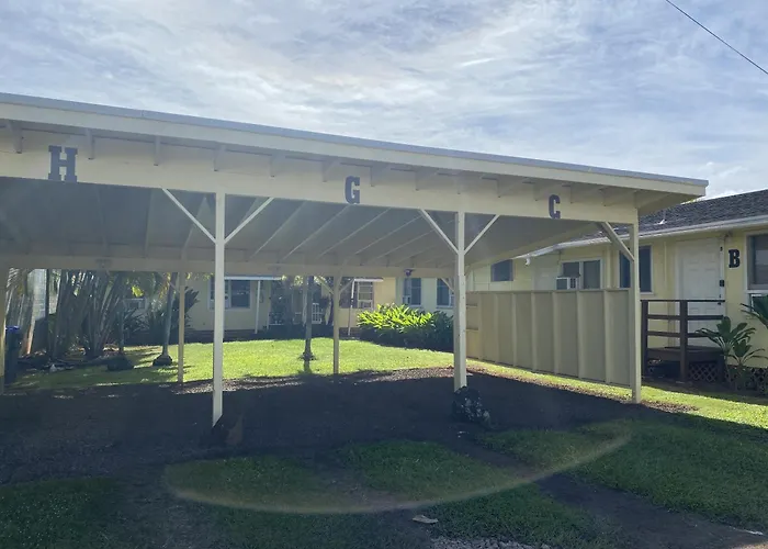 Kauai Palms