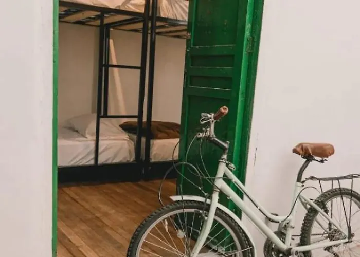 Wild Monkey Hostel