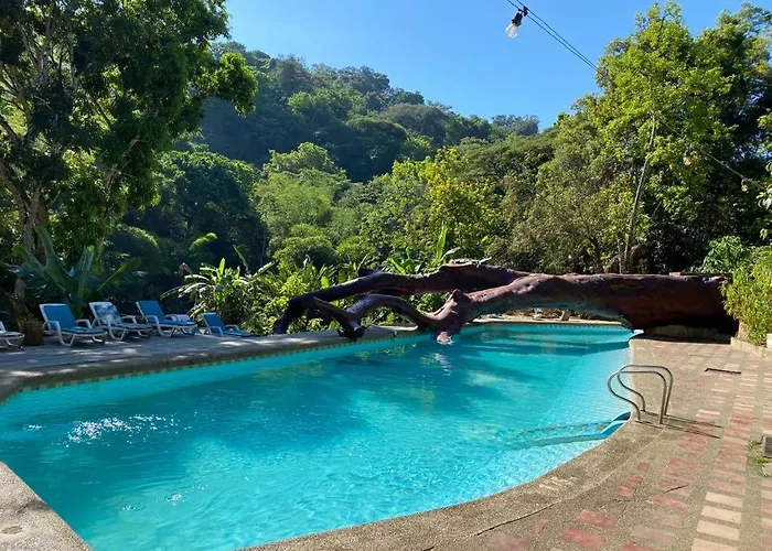 Rio Elemento