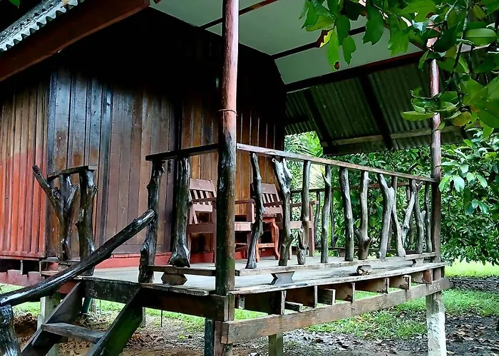 Bamboo House