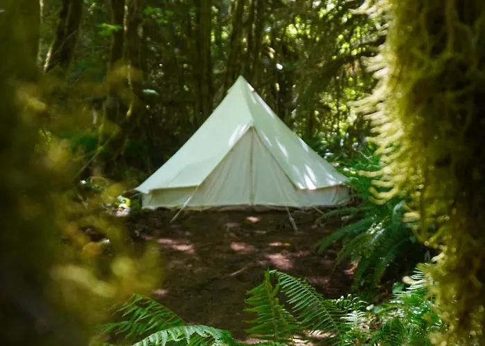Wander Camp Olympic