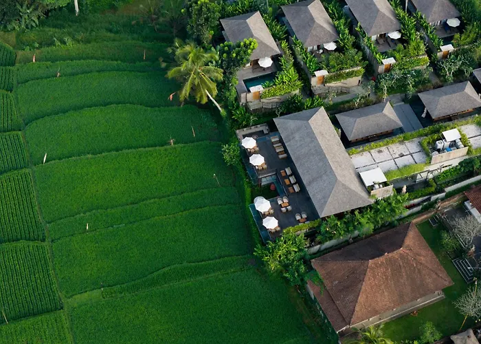 Hôtel 5 étoiles: Kappa Senses Ubud