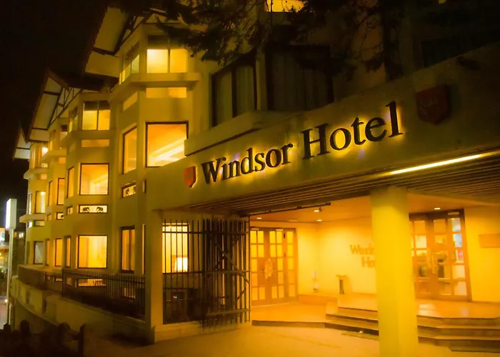 Ping pong hotels Windsor
