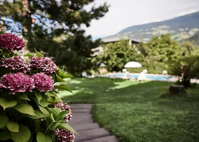 Hotel sulla spiaggia: Hotel Jarolim