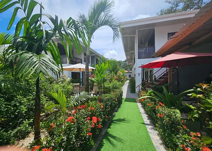 Ballena Rey Hotel
