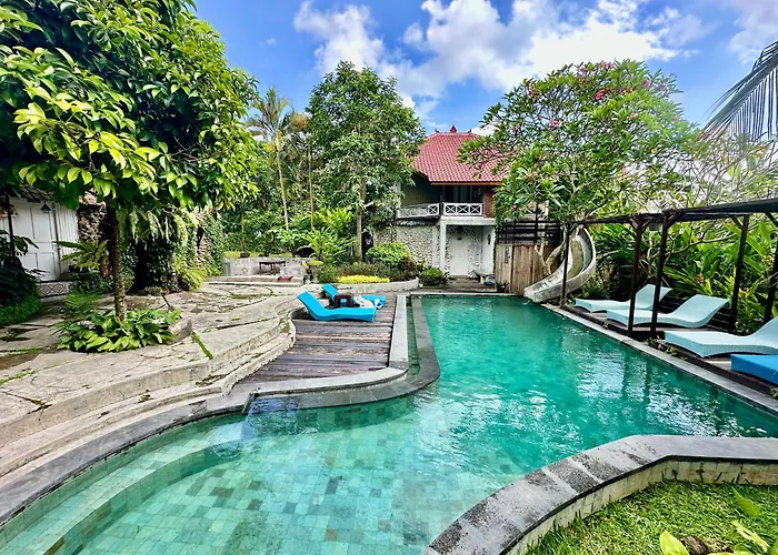 The Onion Collective