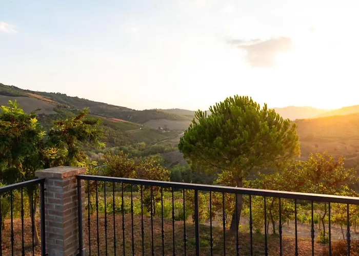 : Glamping immerso in un uliveto biologico secolare