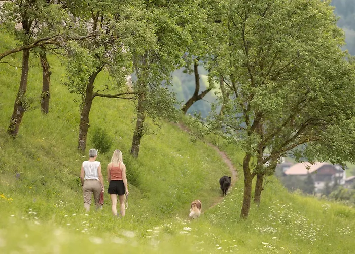 Hotel per sciatori: Schwarzer Adler