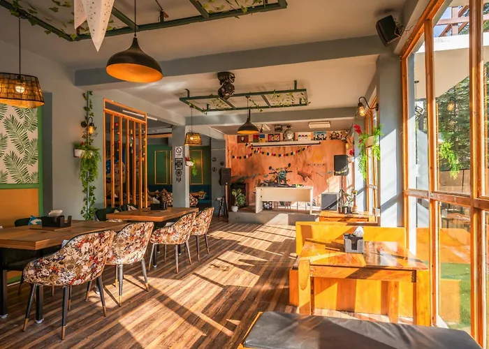 Pets Allowed Hotel Alt Life Manali, Old Manali