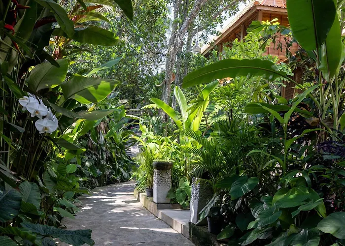 Jacuzzi hotel: The Kalyana Ubud Resort