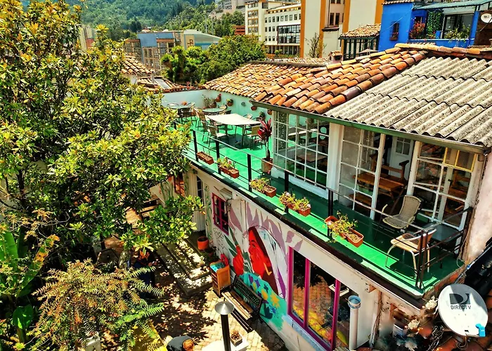 Botanico