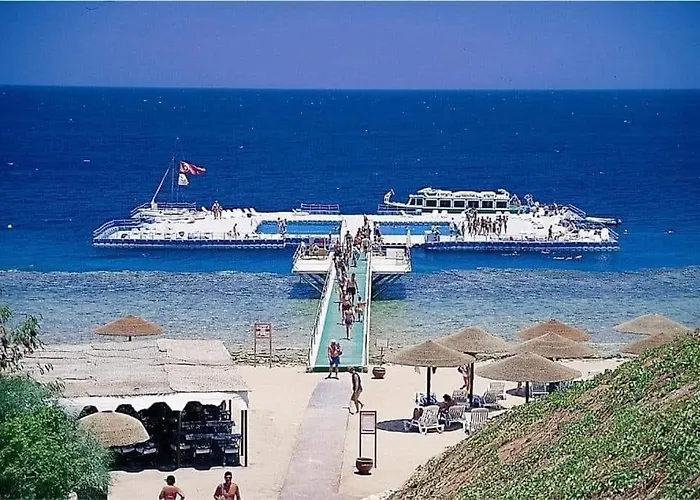 Hotel adatto agli animali: Harem At Coral Bay