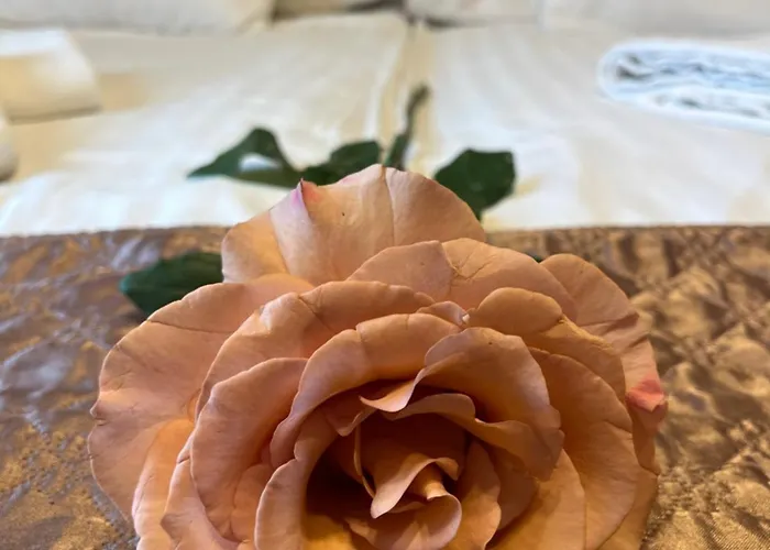 Rose City