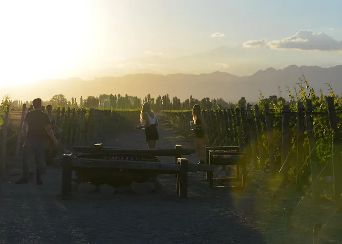 Viamonte Winery Lodge