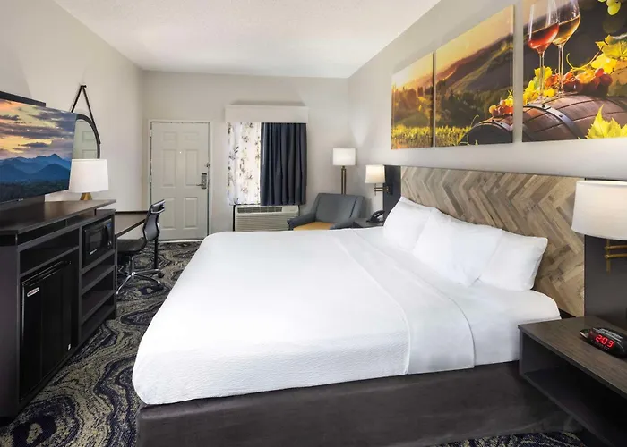 Pet Friendly hotel: Clarion Pointe Biltmore Village