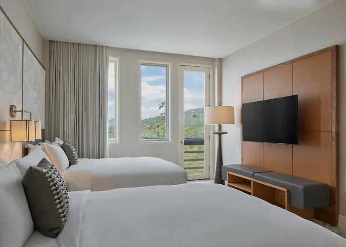 Pet Friendly hotel: Viewline Resort Snowmass, Autograph Collection