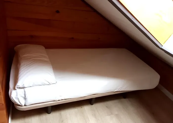 Pet Friendly hotel: Amelia By Gaiarooms