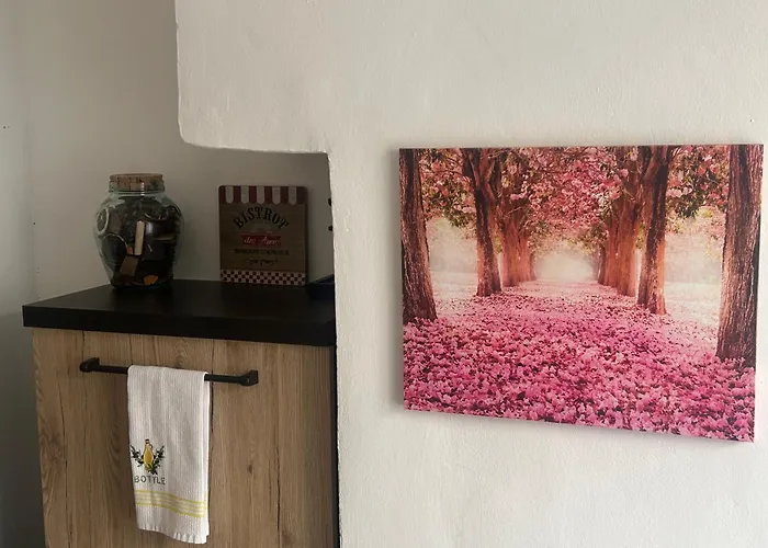 Hotel adatto agli animali: Sakura Via Napione