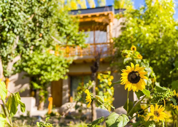 Family Hotel: Dolkhar Resort