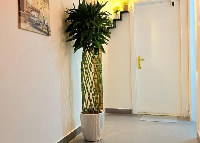 Guests house Orchid International