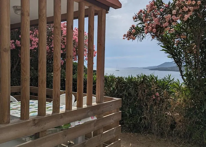 Camping Tikiti
