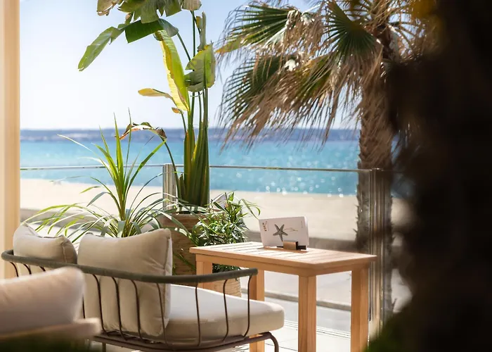 Goedkoop hotel: Hotel Eden Palma Playa Adults Only