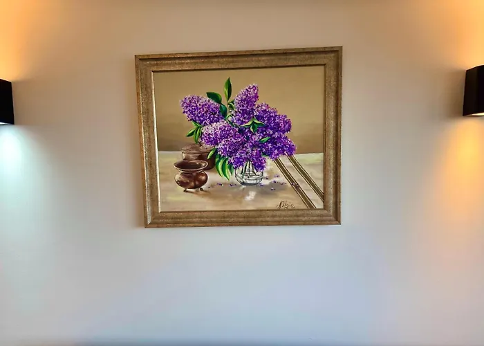 Hotel familiare: Hanedan Hotel