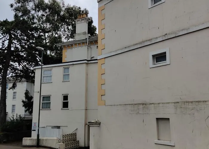 Inglewood Palm , Abbey Sands Torquay