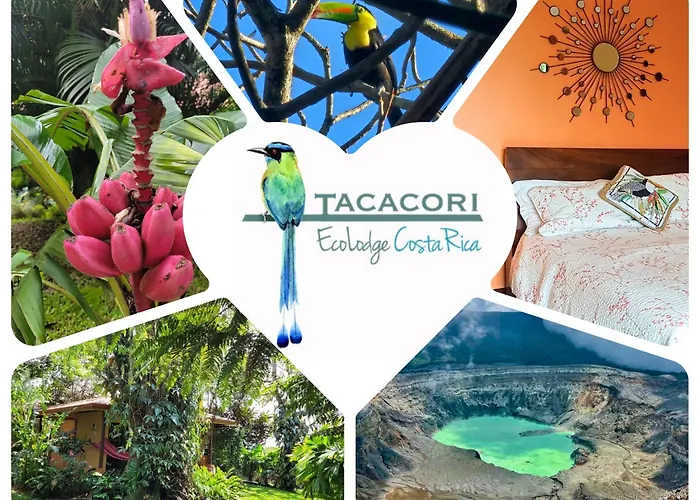 Tacacori Ecolodge