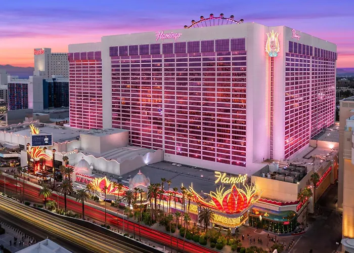 Cheap hotel: Flamingo Las Vegas Hotel & Casino