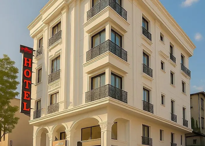 Hôtel accueillant les animaux: Confores Hotel