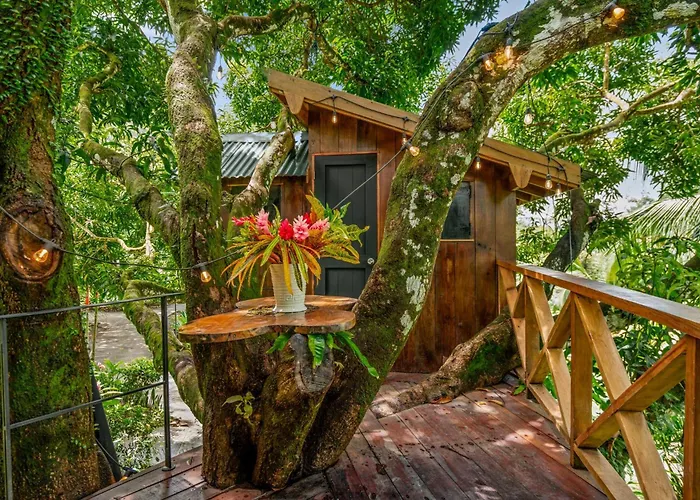 Central Hotel Bocas Del Toro