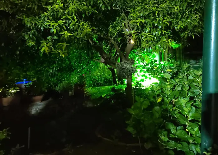 Hotel con vista: Villa dei fiori B&B