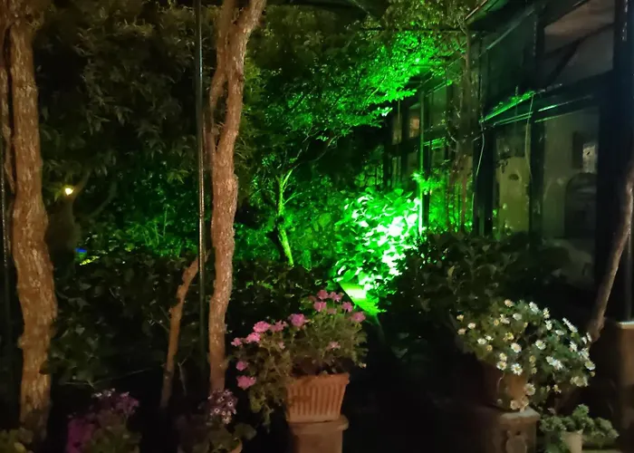 Hotel con vista: Villa dei fiori B&B