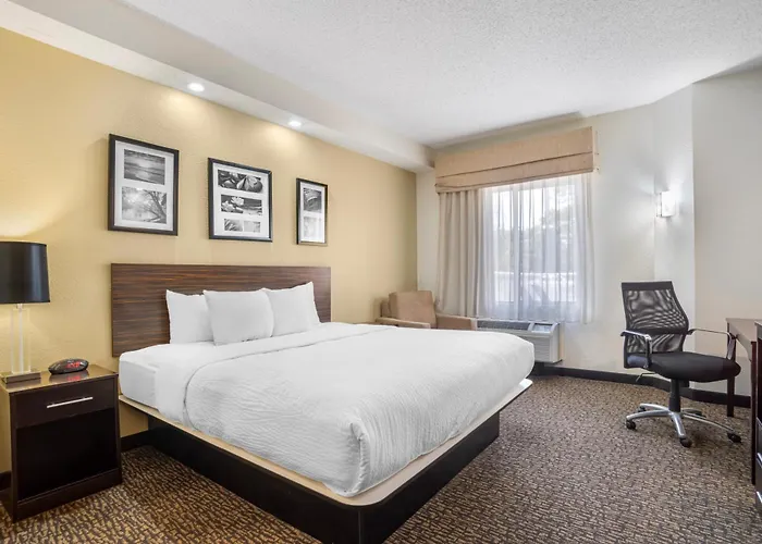 Sleep Inn & Suites At Concord Mills