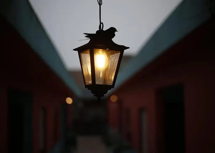 Albergue: Carrusel Art-Hostel