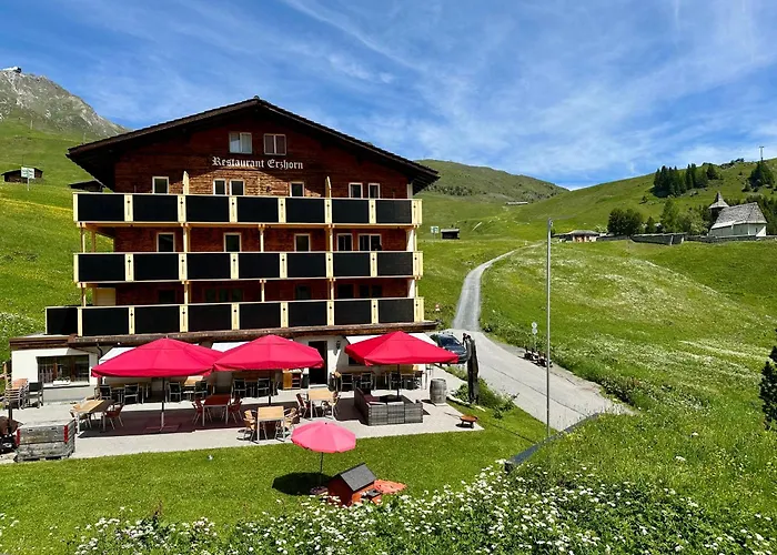 Erzhorn