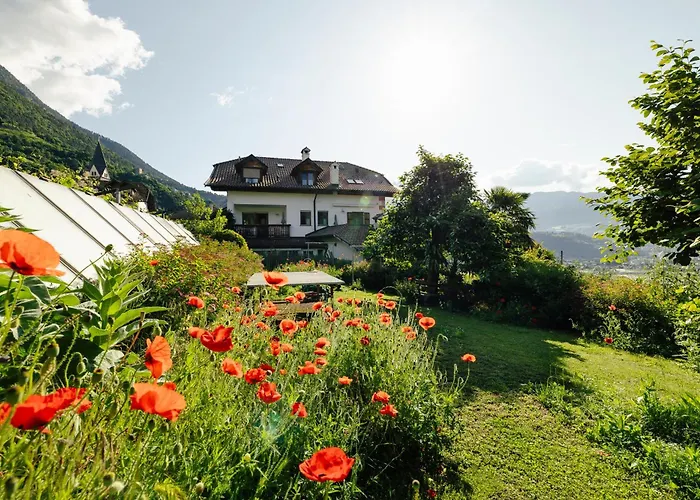 Hofer am Bach