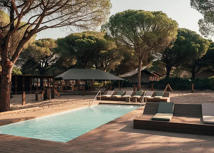 Perros hoteles Wecamp