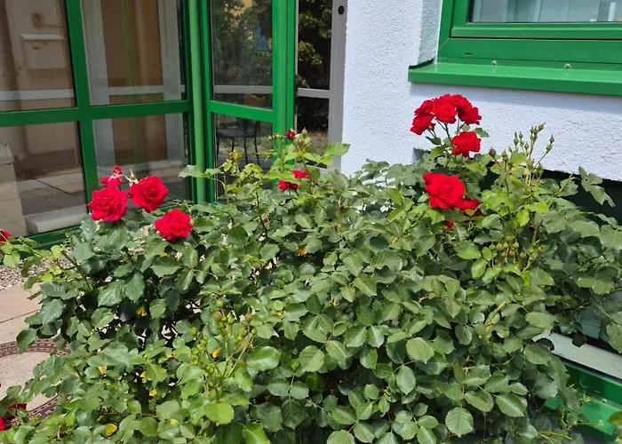 Lindenthal