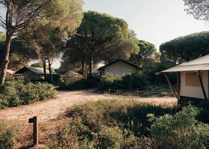 Perros hoteles Wecamp