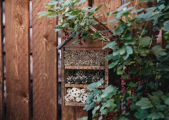 Skihotel: Biohotel Amadeus