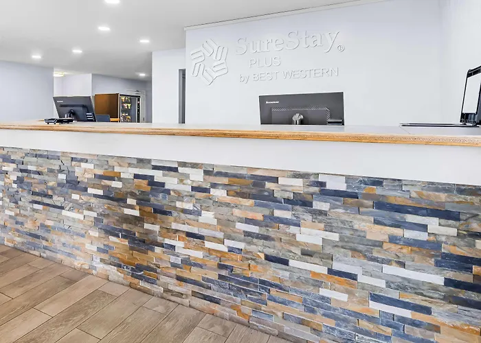 Pet Friendly hotel: Surestay Plus By Best Western Beaumont