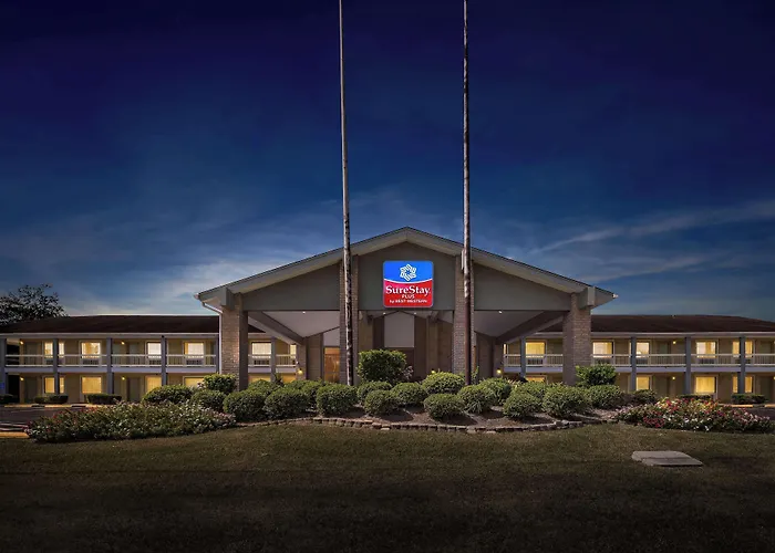 Pet Friendly hotel: Surestay Plus By Best Western Beaumont