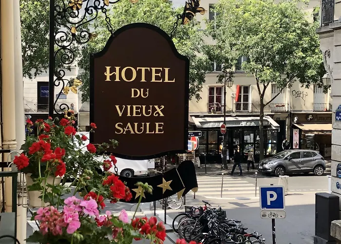Hôtel Du Vieux Saule